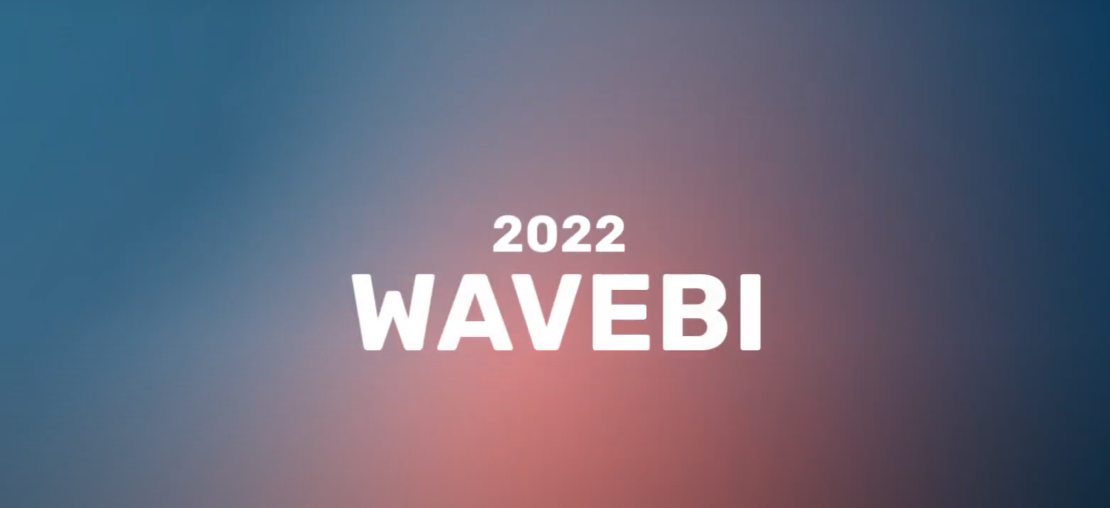 Portada Resumen de año 2022 de WaveBI Data Analytics