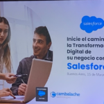 salesforce wavebi